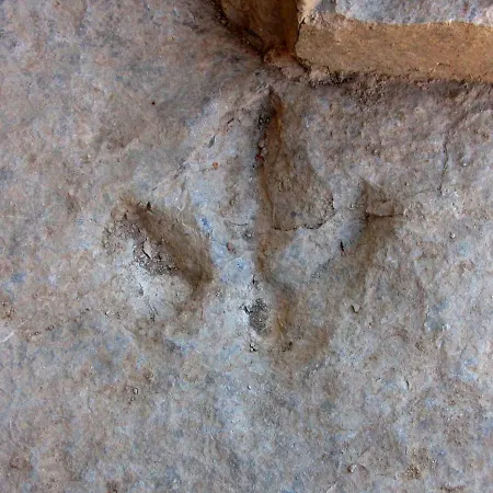De La Pena Villar del Rio
